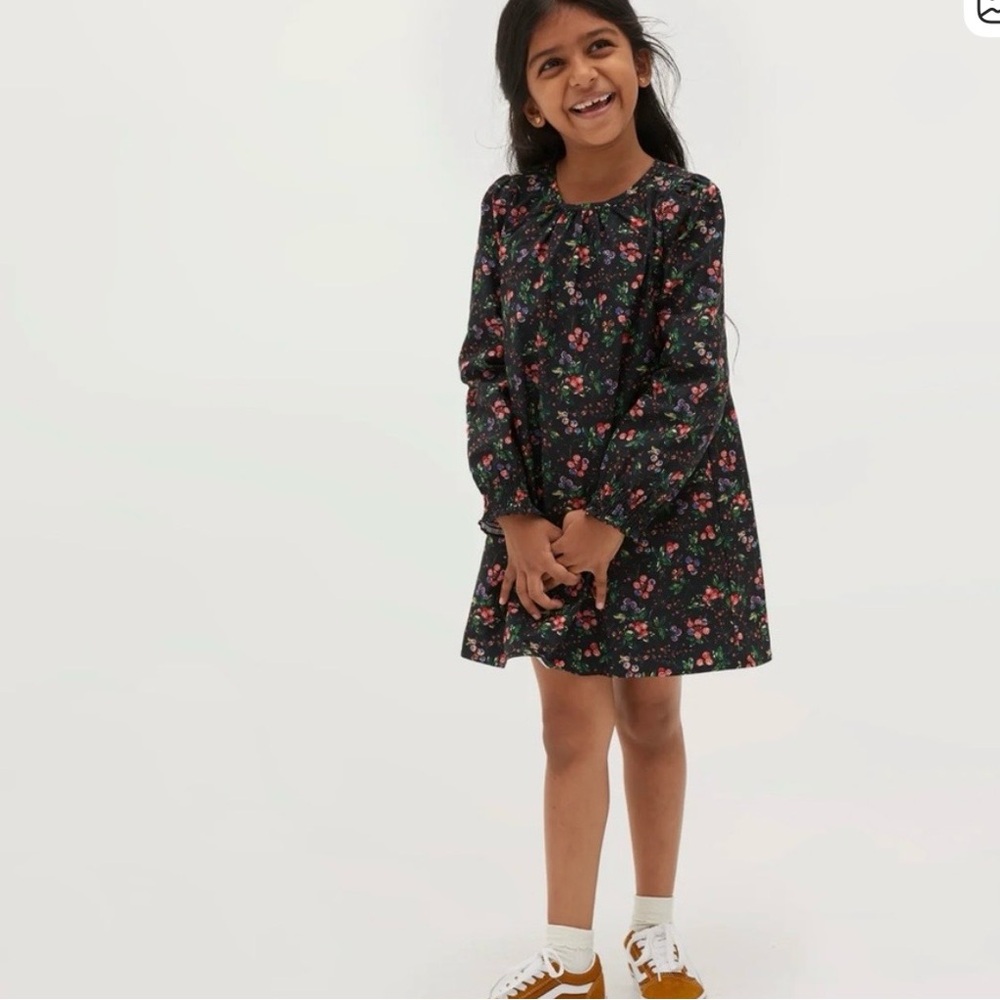Hill House The Tiny Eloise Dress Multi Berry Taffeta Sz 3-4Y